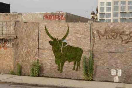 For Green Graffiti, Moss is Boss Image